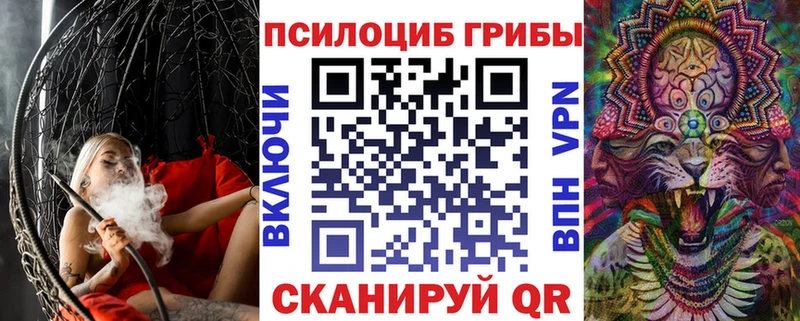 цена   Петровск-Забайкальский  OMG сайт  Псилоцибиновые грибы MAGIC MUSHROOMS 